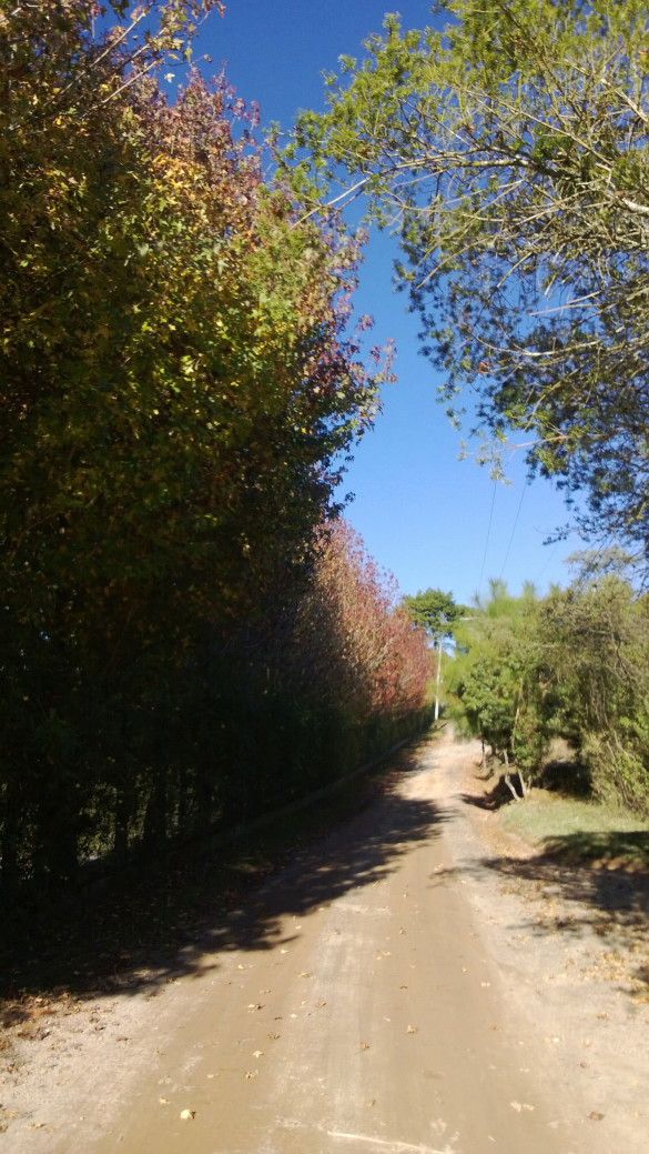 Campos do Jordão