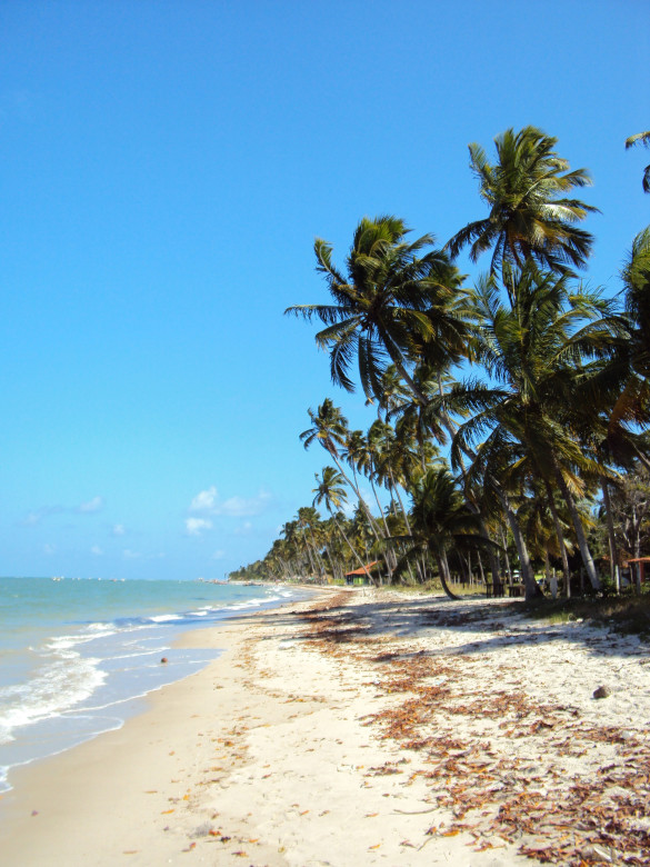 Porto de Galinhas