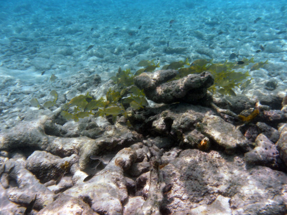 Curaçao Curaçao