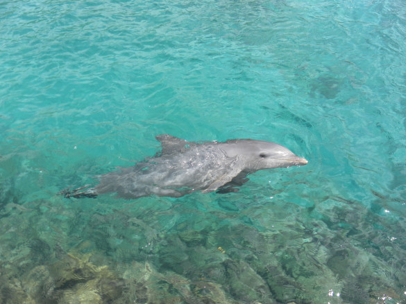 Curaçao Curaçao