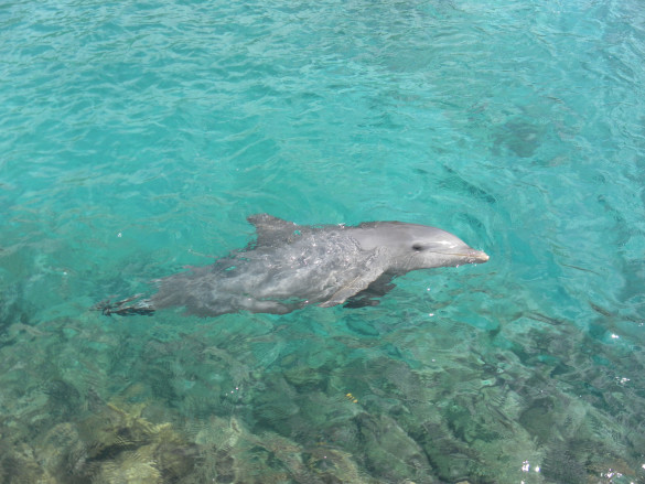 Curaçao