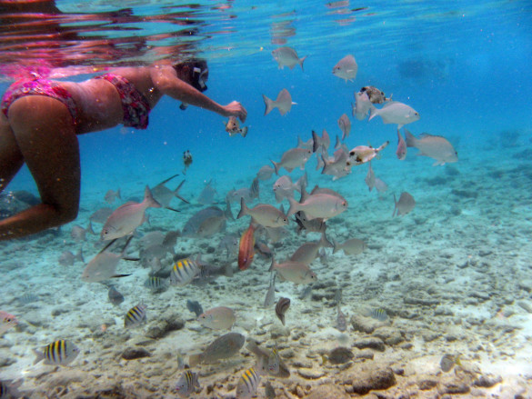 Curaçao Curaçao