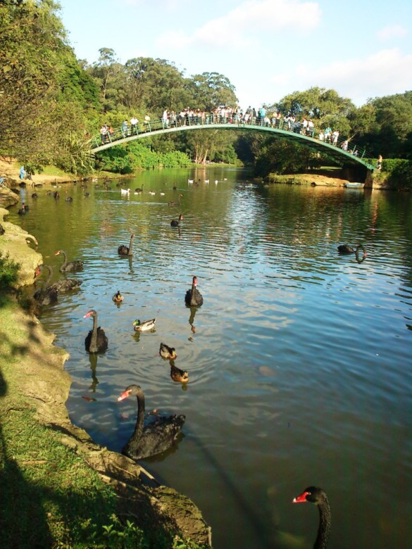 São Paulo