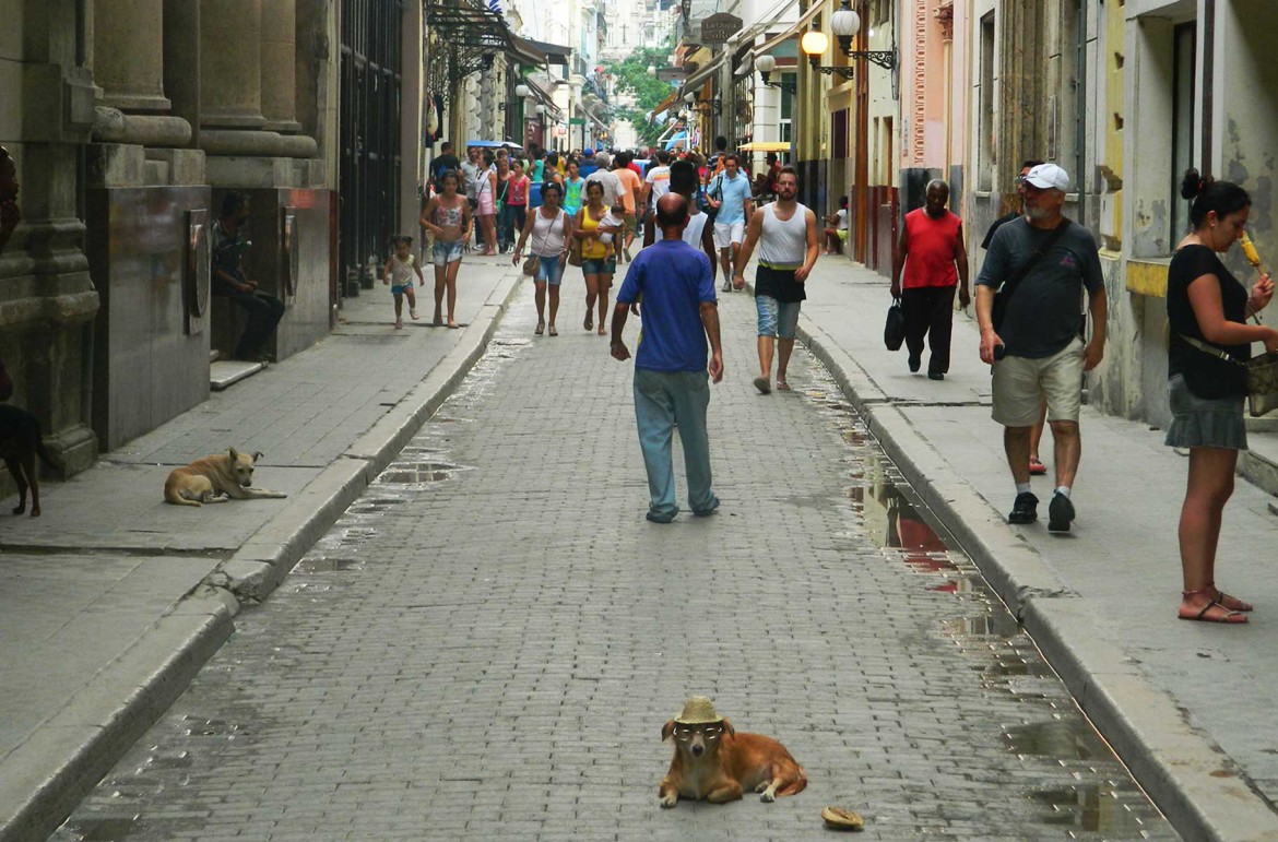 Foto: Ticiana Giehl e Marquinhos Pereira/Escolha Viajar