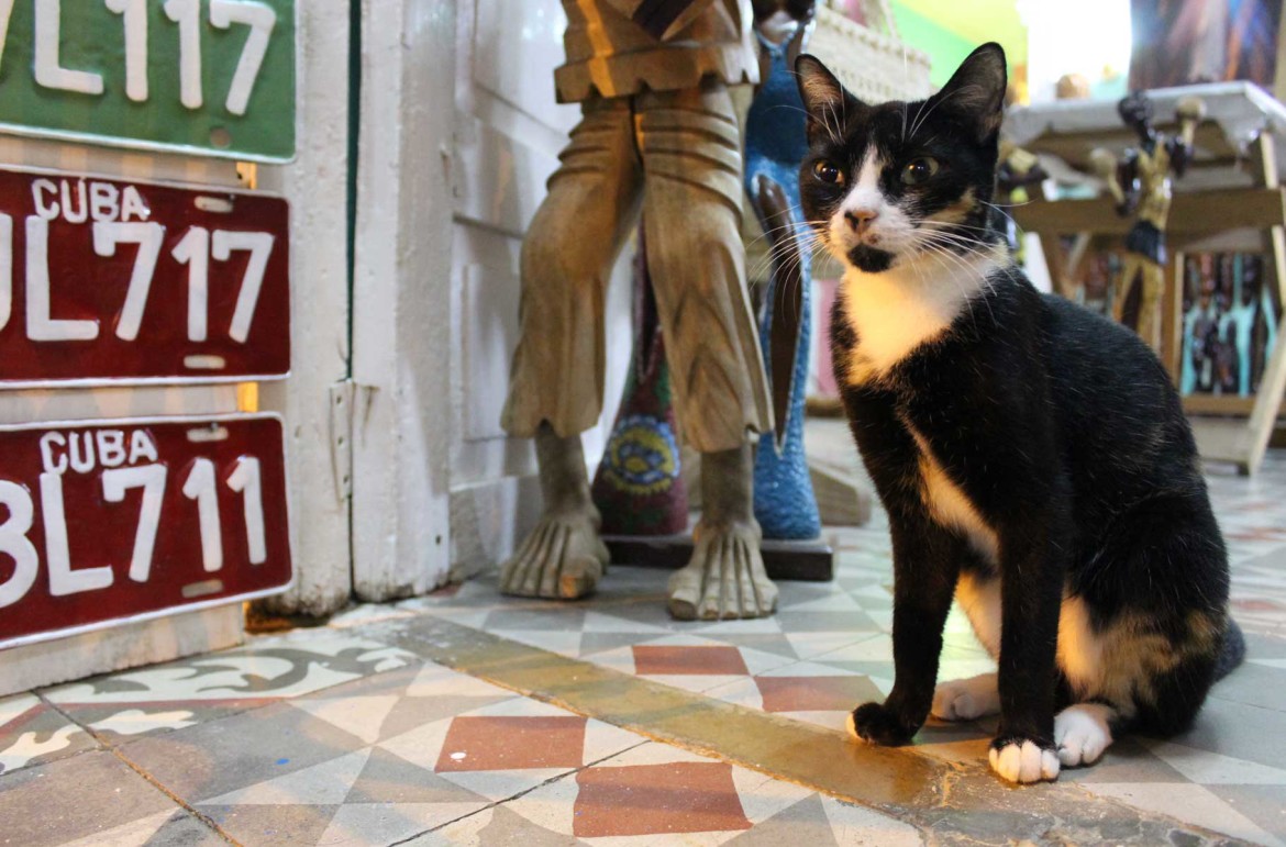 Foto: Ticiana Giehl e Marquinhos Pereira/Escolha Viajar