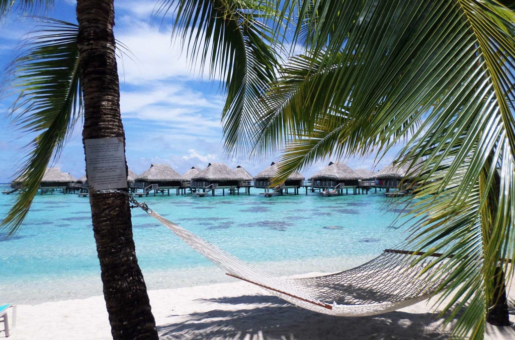 Rede pendurada em palmeira com o Hotel Hilton Moorea ao fundo