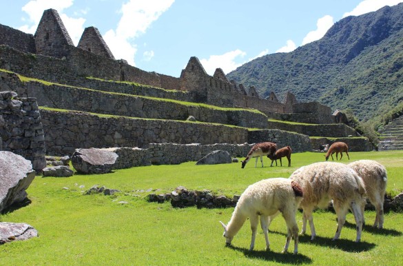 Machu Picchu, a melhor atração turística de 2017