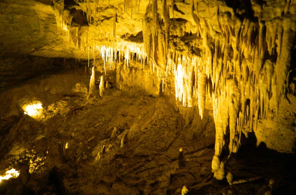 Preços de atrações turísticas - Cavernas de Waitomo (Waitomo, Nova Zelândia)