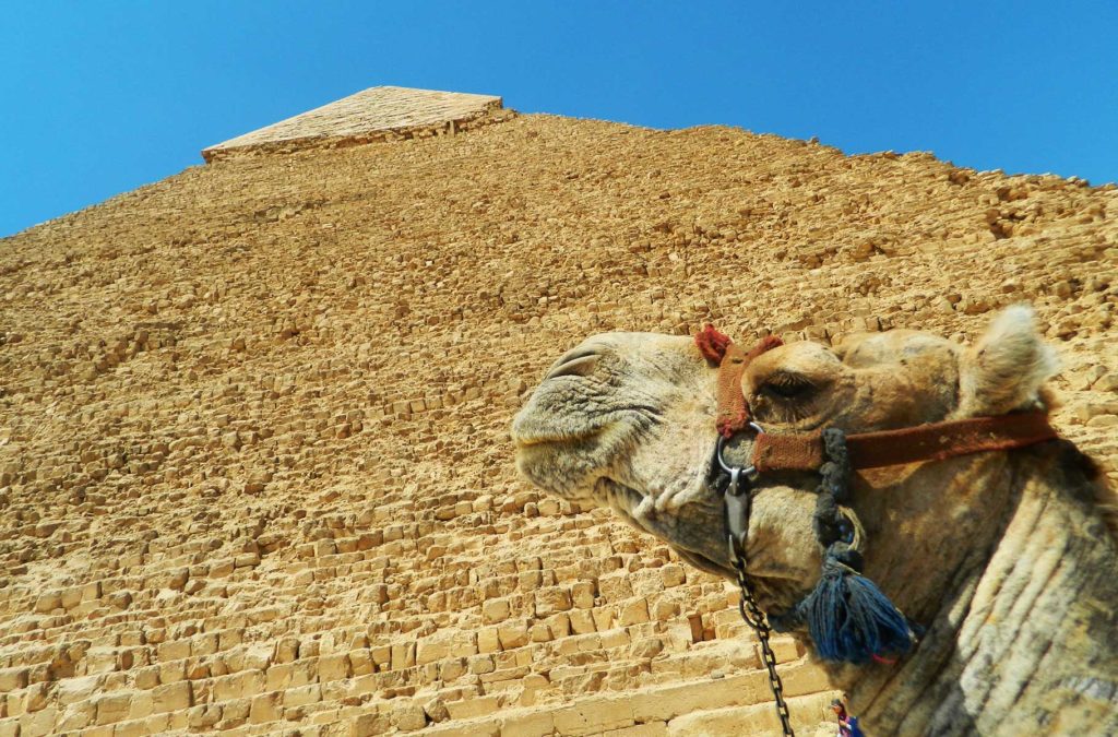Preços de atrações turísticas - Pirâmides de Giza (Giza, Egito)