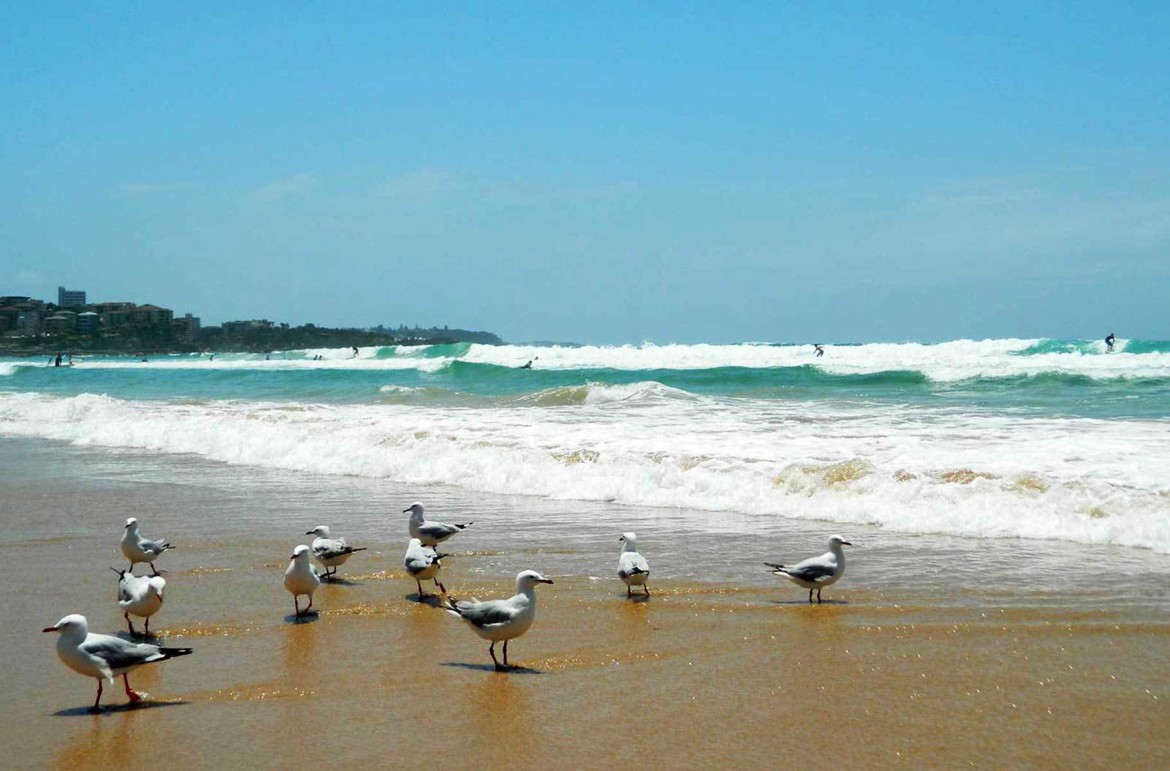 Foto: Ticiana Giehl e Marquinhos Pereira/Escolha Viajar