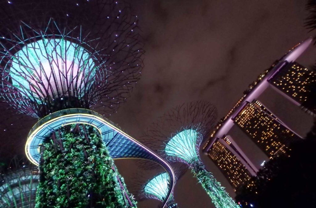 O que fazer em Cingapura - Gardens by the Bay