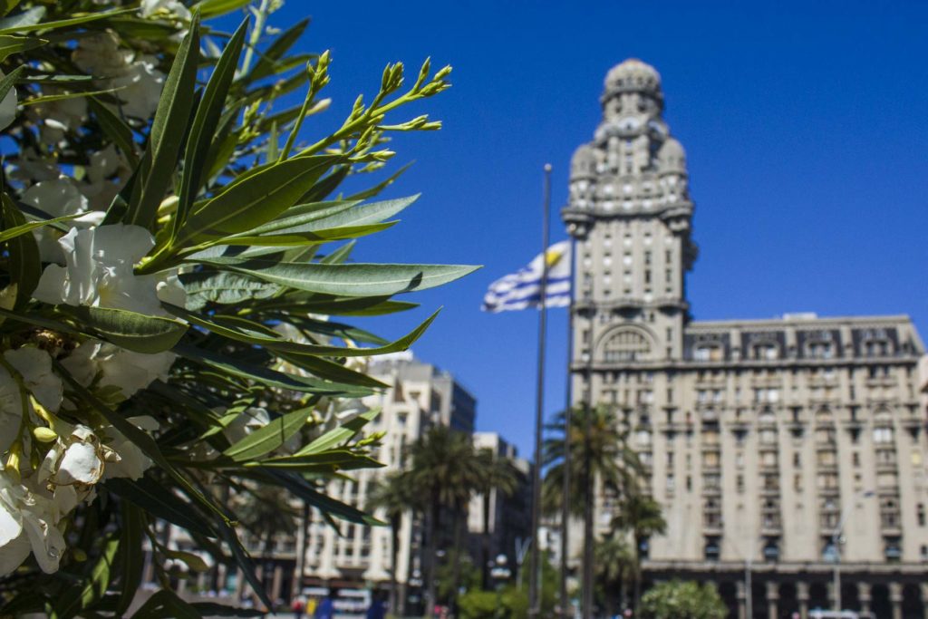 Flores brancas em frente ao Palácio Salvo, em Montevidéu, no Uruguai