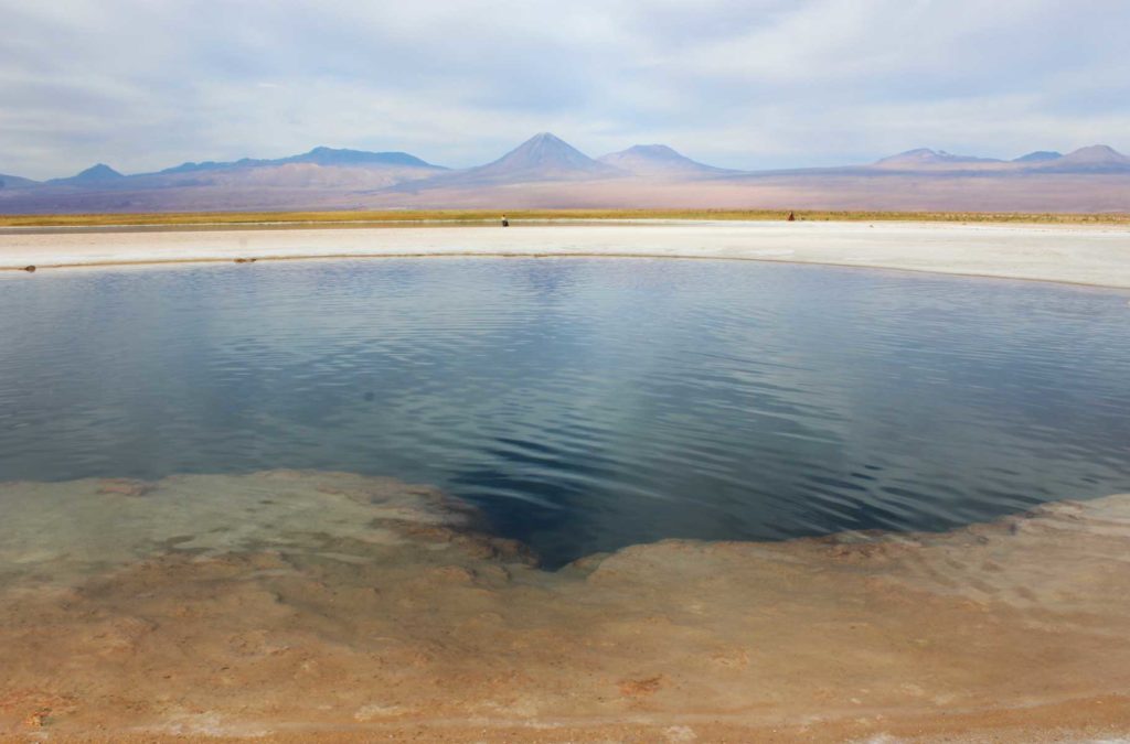 Laguna Cejar é uma das atrações turísticas do Deserto do Atacama, no Chile
