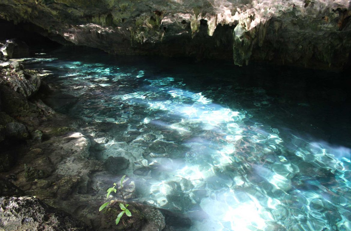 Água cristalina do Cenote Dos Ojos, em Tulum (México), é iluminada pelo sol