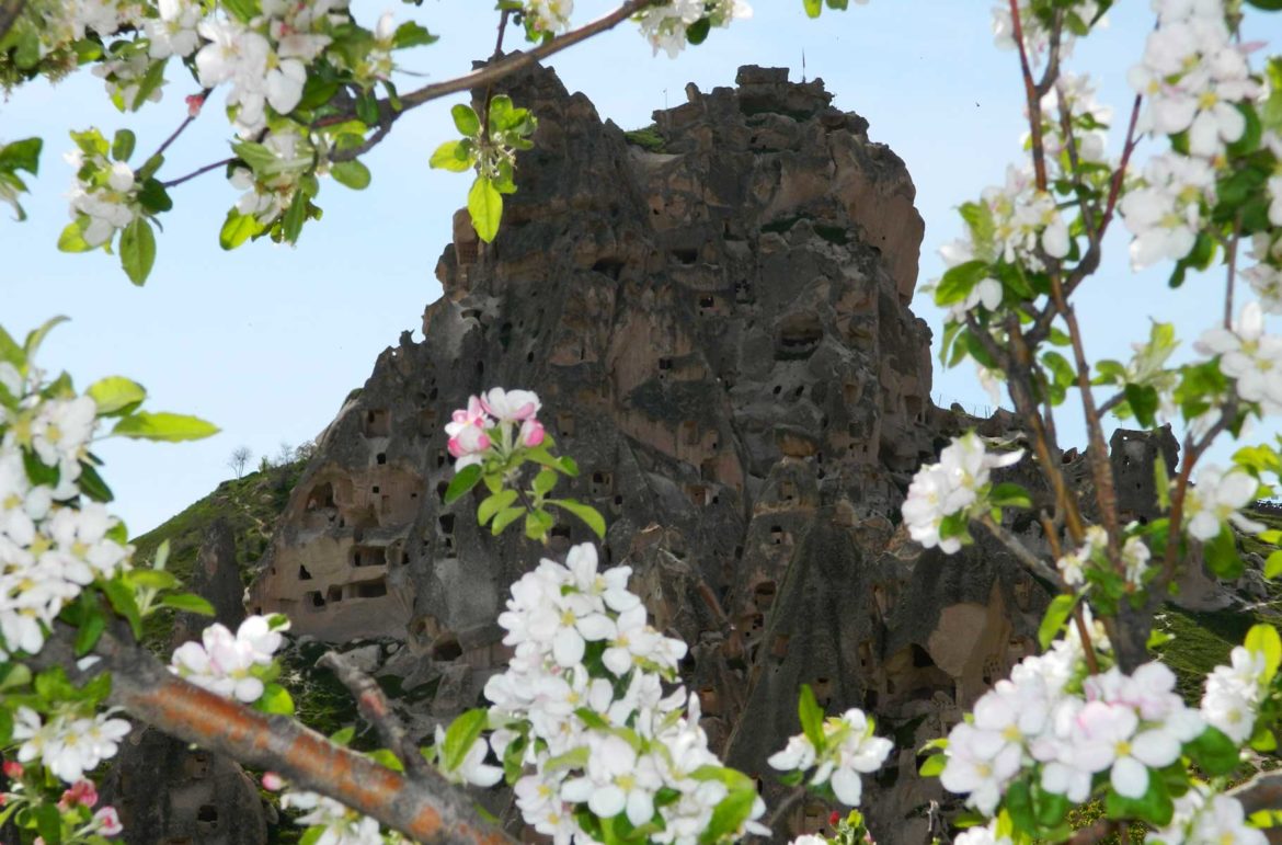 Flores fazem moldura ao Uchisar Castle, na Capadócia (Turquia)