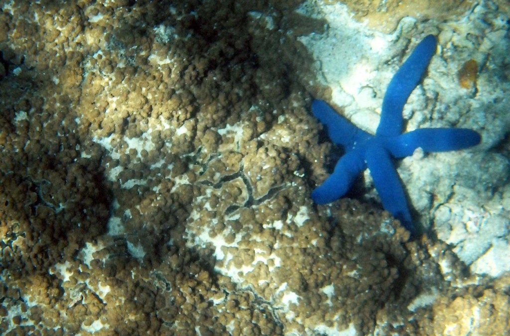 O que fazer em Fiji - Ilha Drawaqa (Arquipélago das Yasawa)