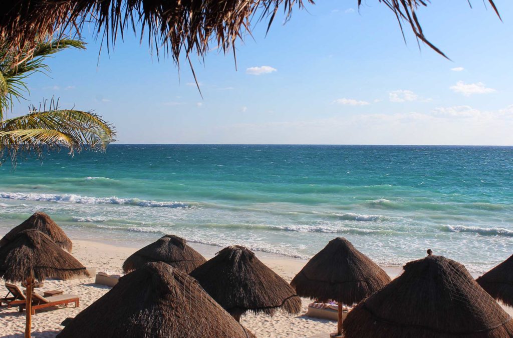 Palapas e palmeiras são vistas de quarto de hotel na beira da praia de Tulum