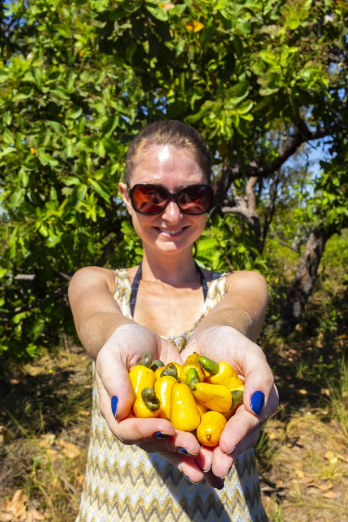 Mulher mostra mãos cheias de cajus do cerrado no Jalapão (Brasil)