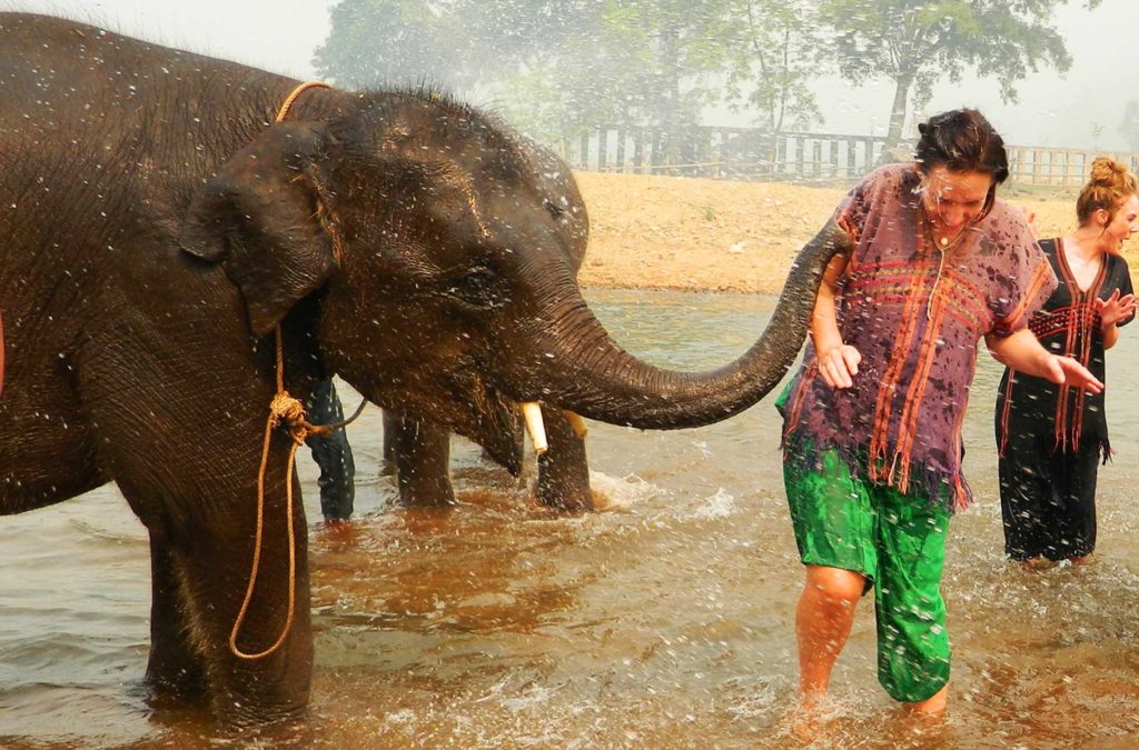 Turistas se divertem em centro de recuperação de elefantes na Tailândia