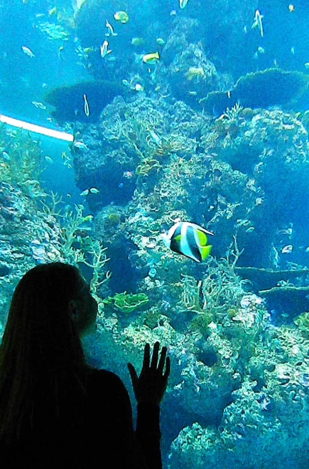 Foto: Ticiana Giehl e Marquinhos Pereira/Escolha Viajar