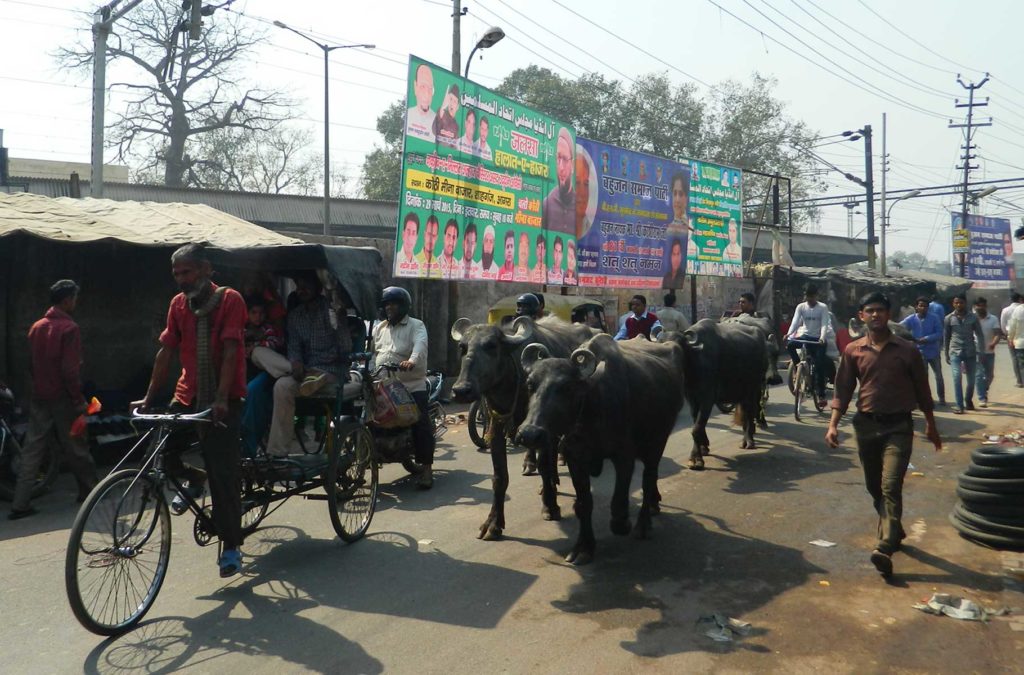 Pessoas e animais se misturam nas ruas da cidade de Agra, na Índia