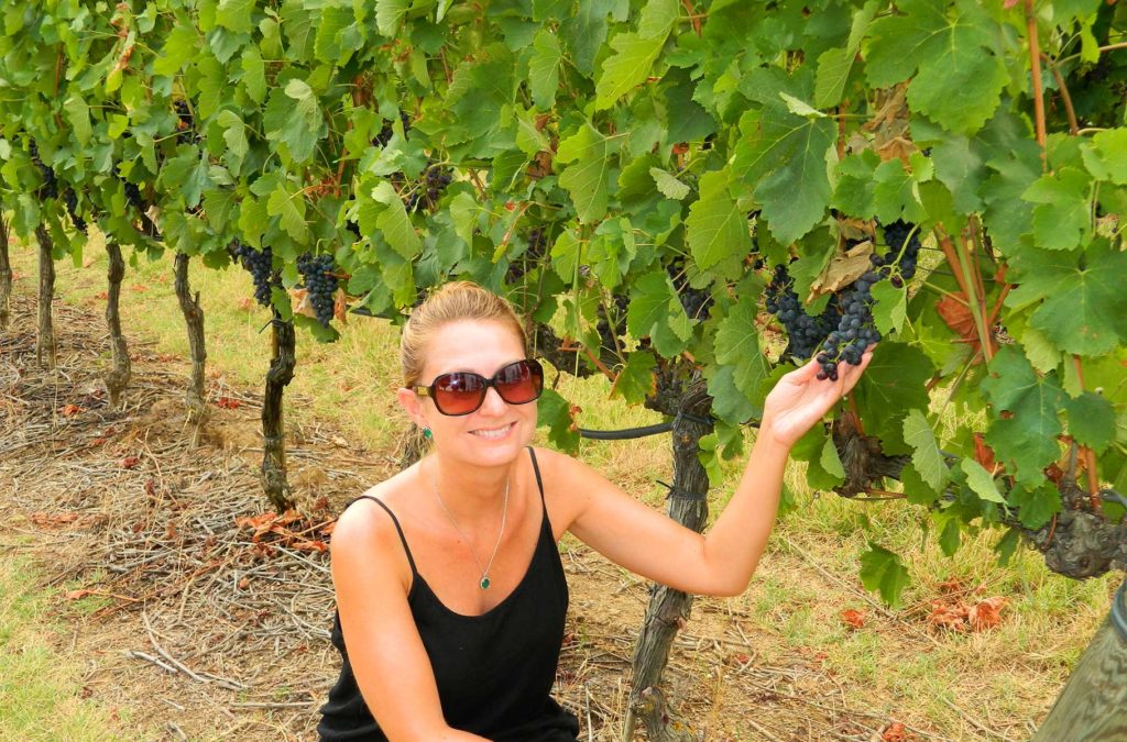 Na região da Toscana é possível visitar muitas vinícolas que são cartão-postal da Itália