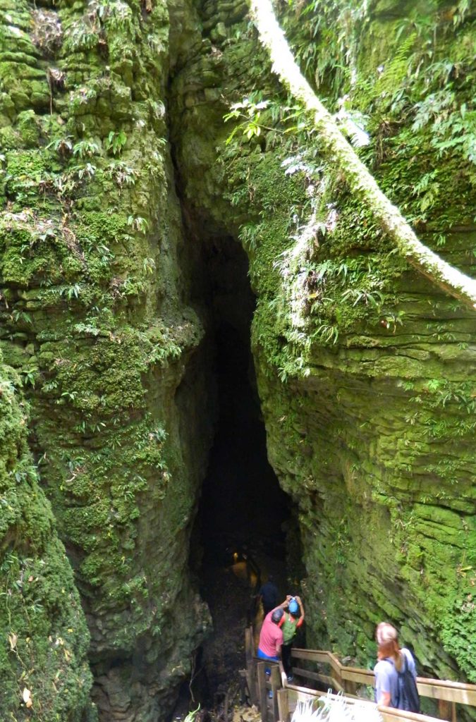 Roteiro de viagem pela Nova Zelândia - Caverna de Waitomo