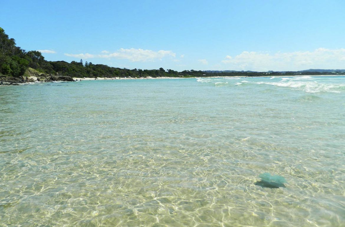 Água-viva flutua perto da praia de Praia The Pass, em Byron Bay (Austrália)