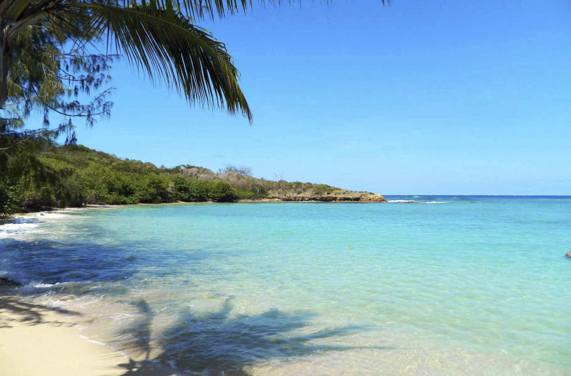 Coqueiro faz sombra na Sunset Beach, na Ilha Drawaqa, Arquipélago das Yasawa (Fiji)