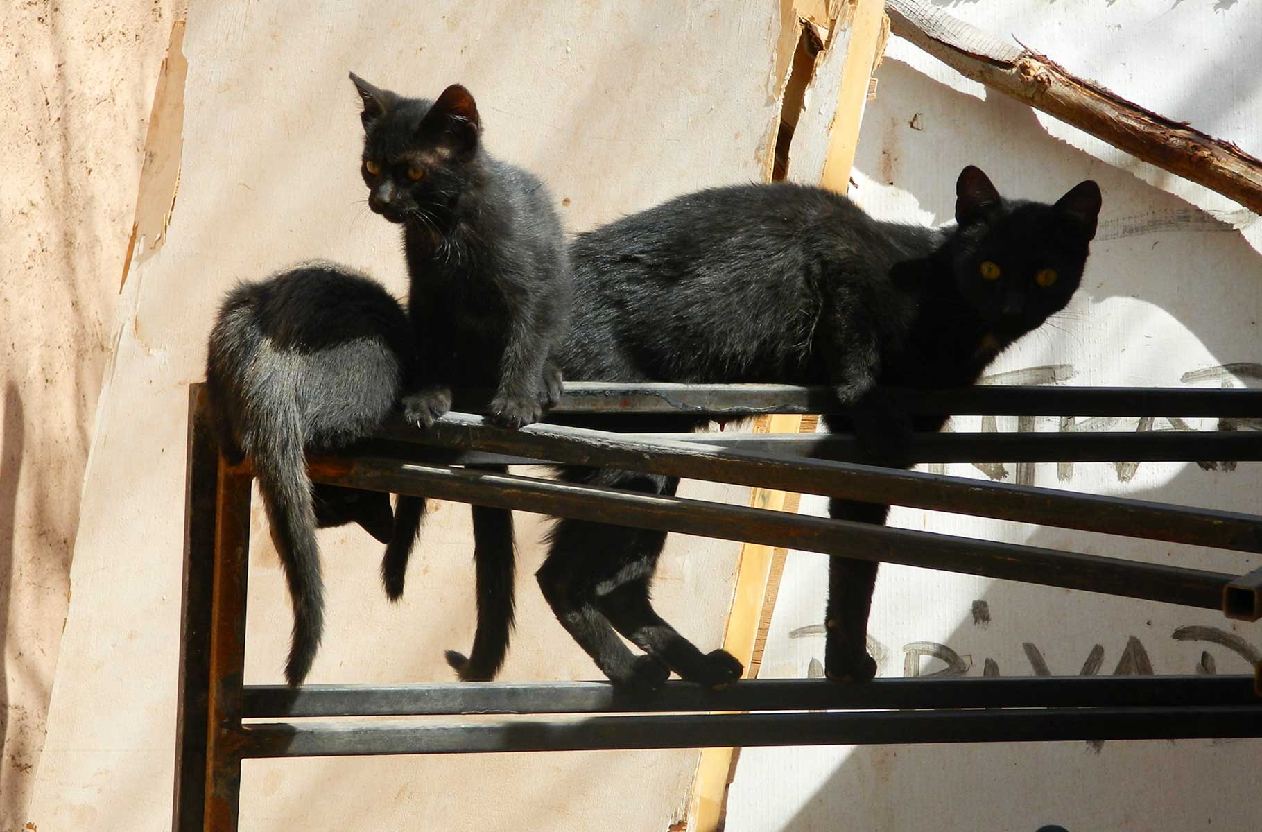 Foto: Ticiana Giehl e Marquinhos Pereira/Escolha Viajar