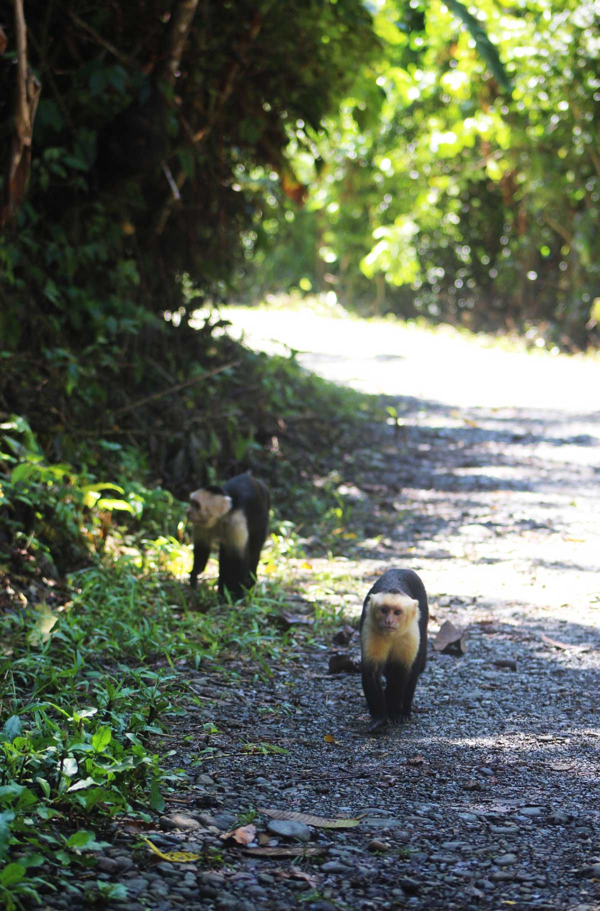 Foto: Ticiana Giehl e Marquinhos Pereira/Escolha Viajar