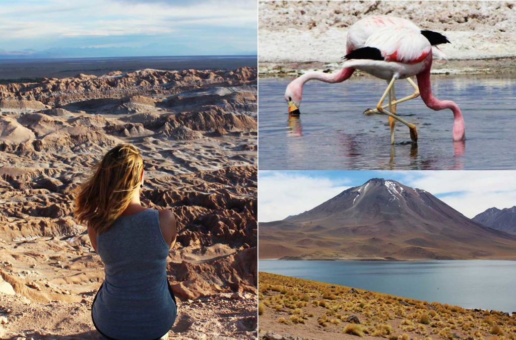 Guia de Viagem Atacama