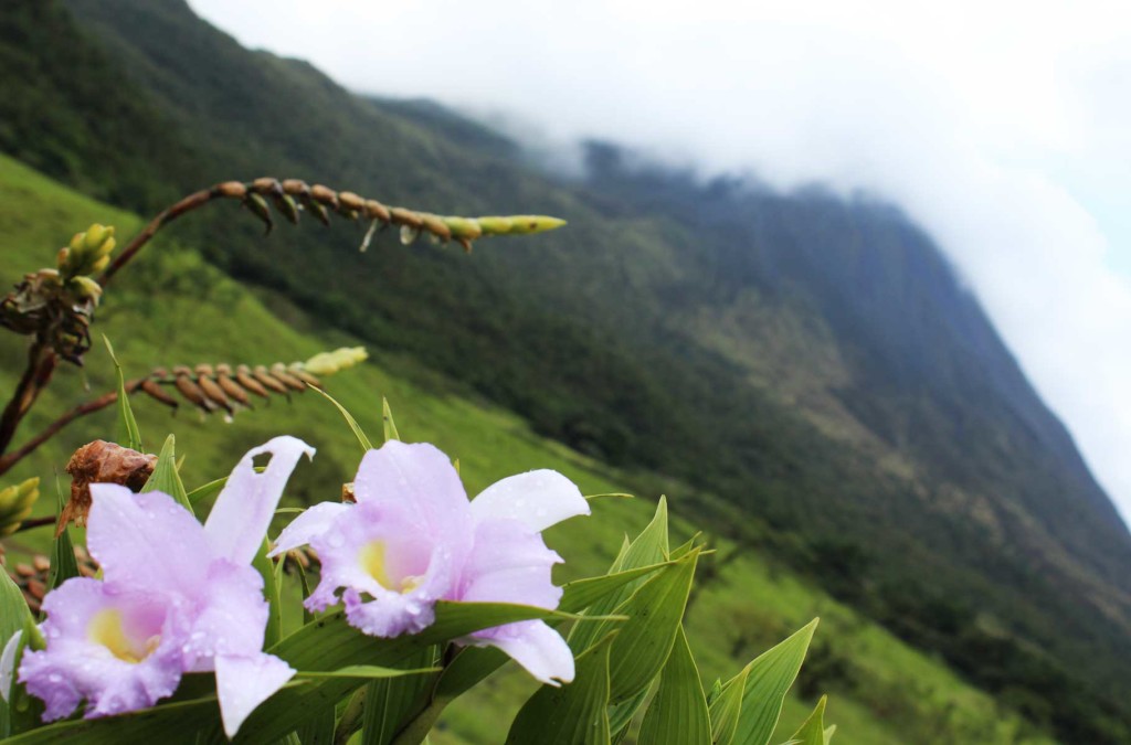 Roteiro de viagem pela Costa Rica: 10 dias de San José ao Caribe