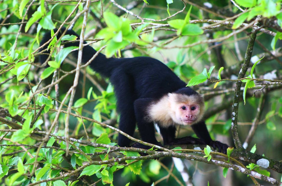 Fotos da Costa Rica: 'Viaje' pelo país em 45 imagens