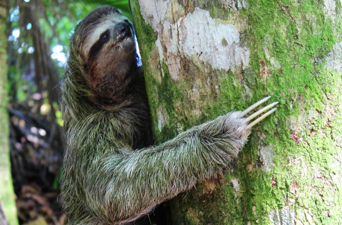 Fotos da Costa Rica: 'Viaje' pelo país em 45 imagens