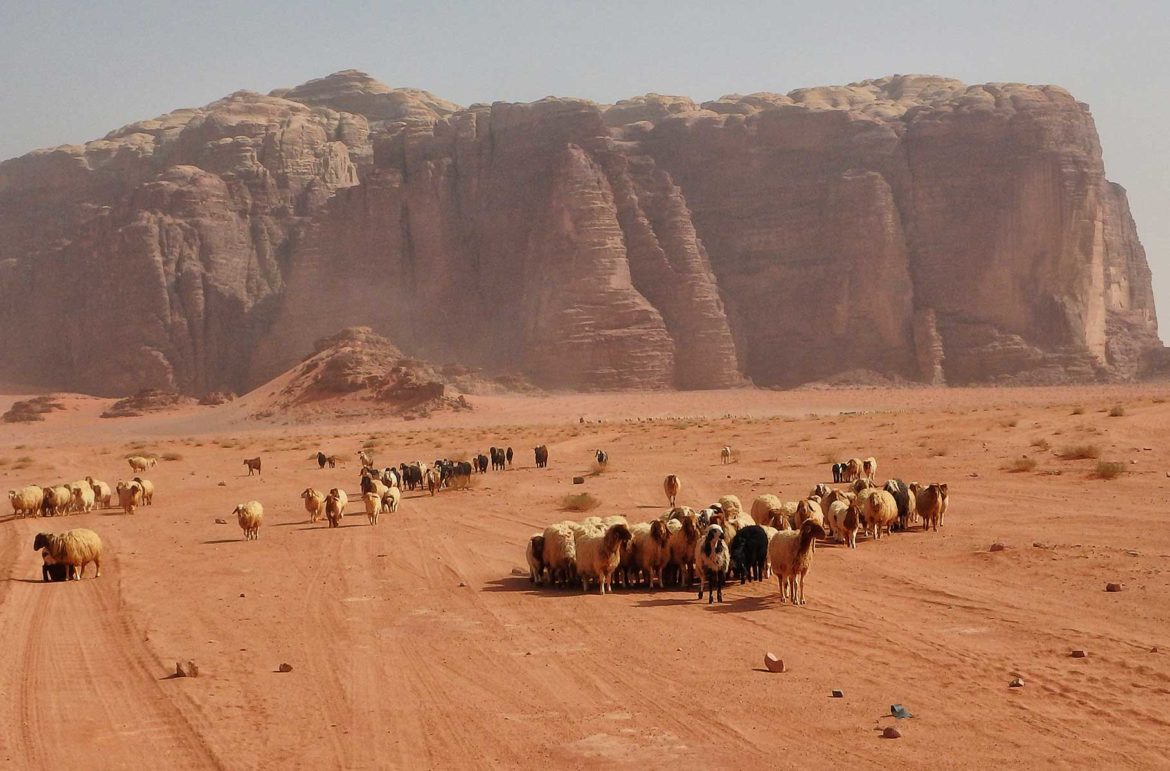 Fotos da Jordânia - Deserto de Wadi Rum