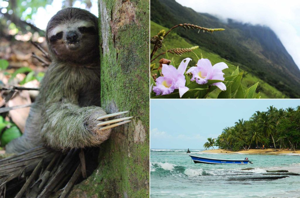 Guia de Viagem Costa Rica: Tudo que você precisa saber antes
