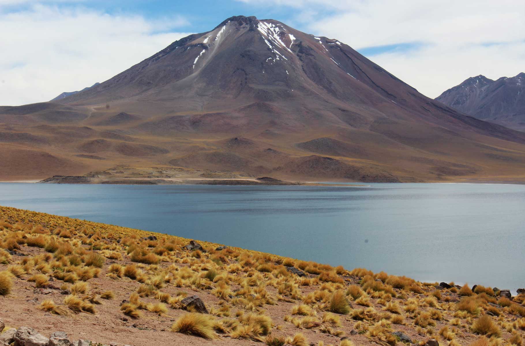 O que fazer no Atacama - Lagunas Altiplânicas