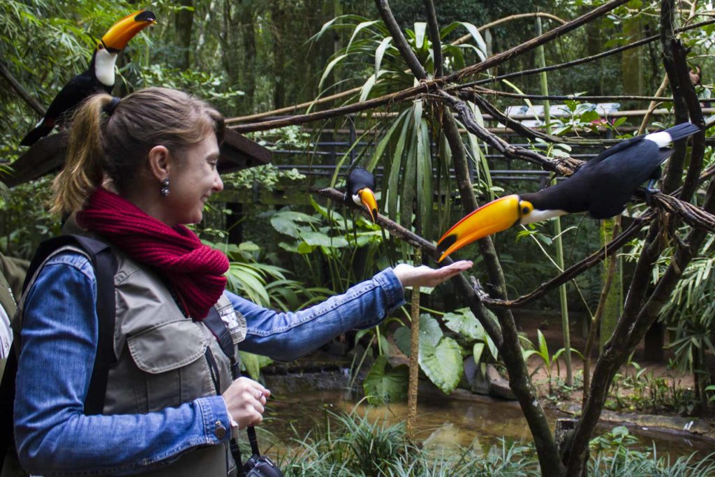 O que fazer em Foz do Iguaçu - Parque das Aves