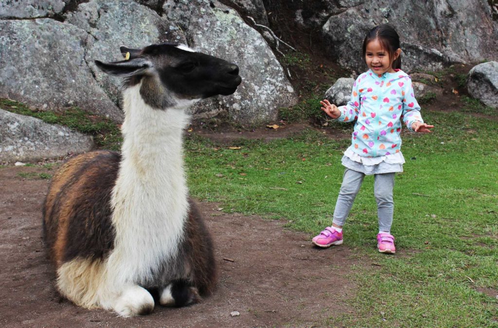 Menina brinca com lhama no sítio arqueológico de Machu Picchu