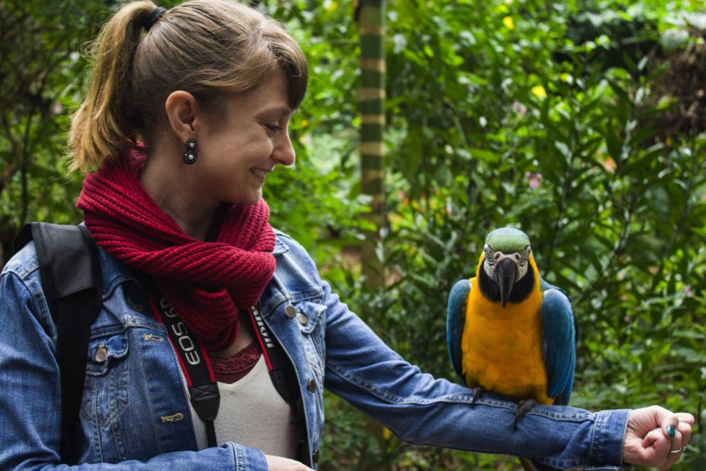 Dicas de Foz do Iguaçu - Parque das Aves