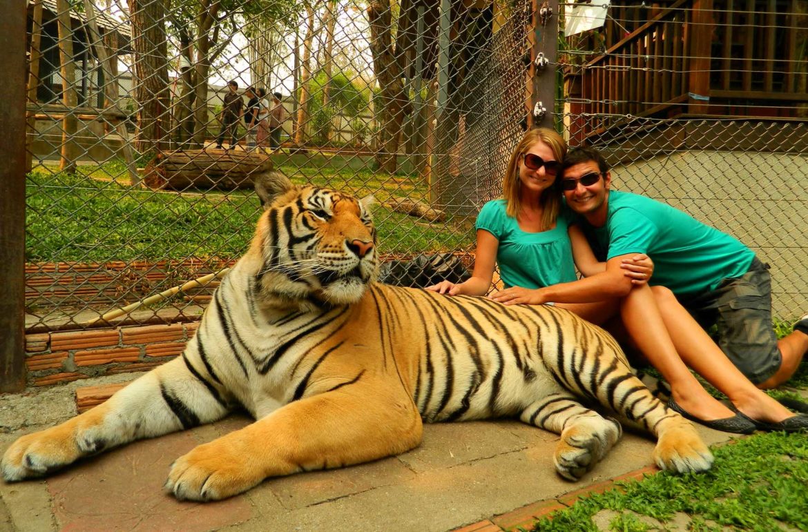 Tiger Kingdom, em Chiang Mai