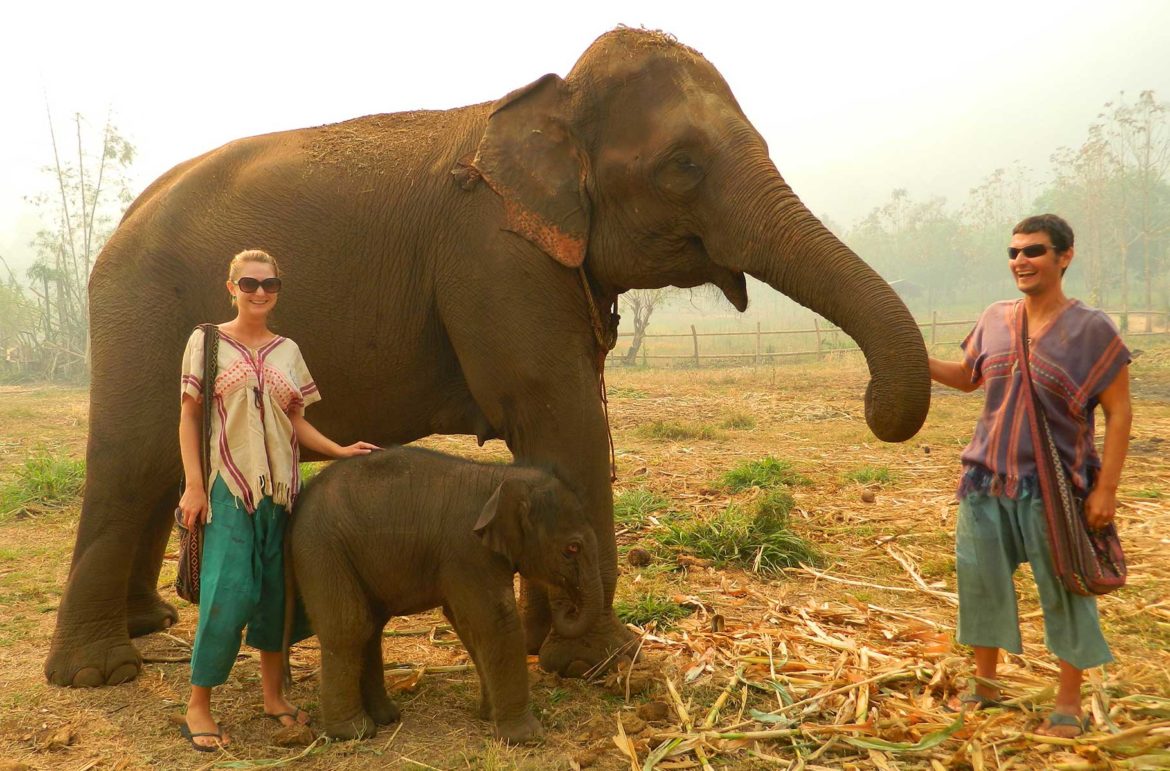 Centro de recuperação de elefantes em Chiang Mai