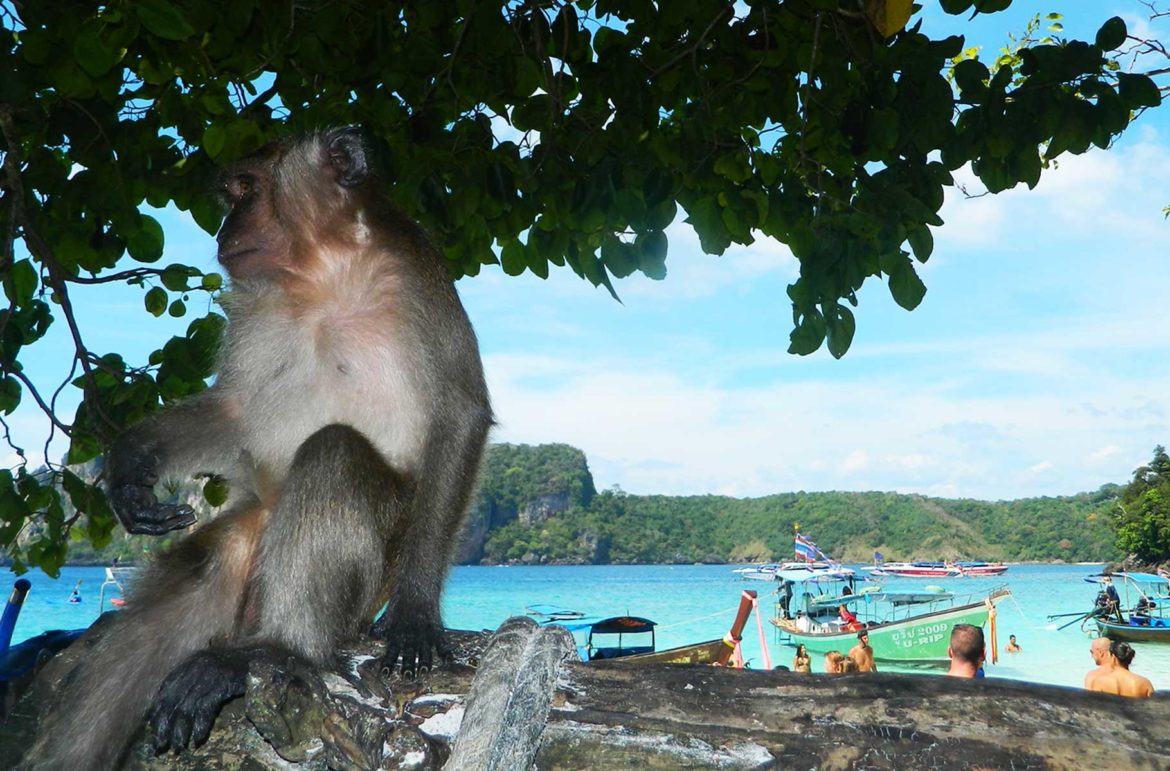 Monkey Beach, no Arquipélago de Koh Phi Phi