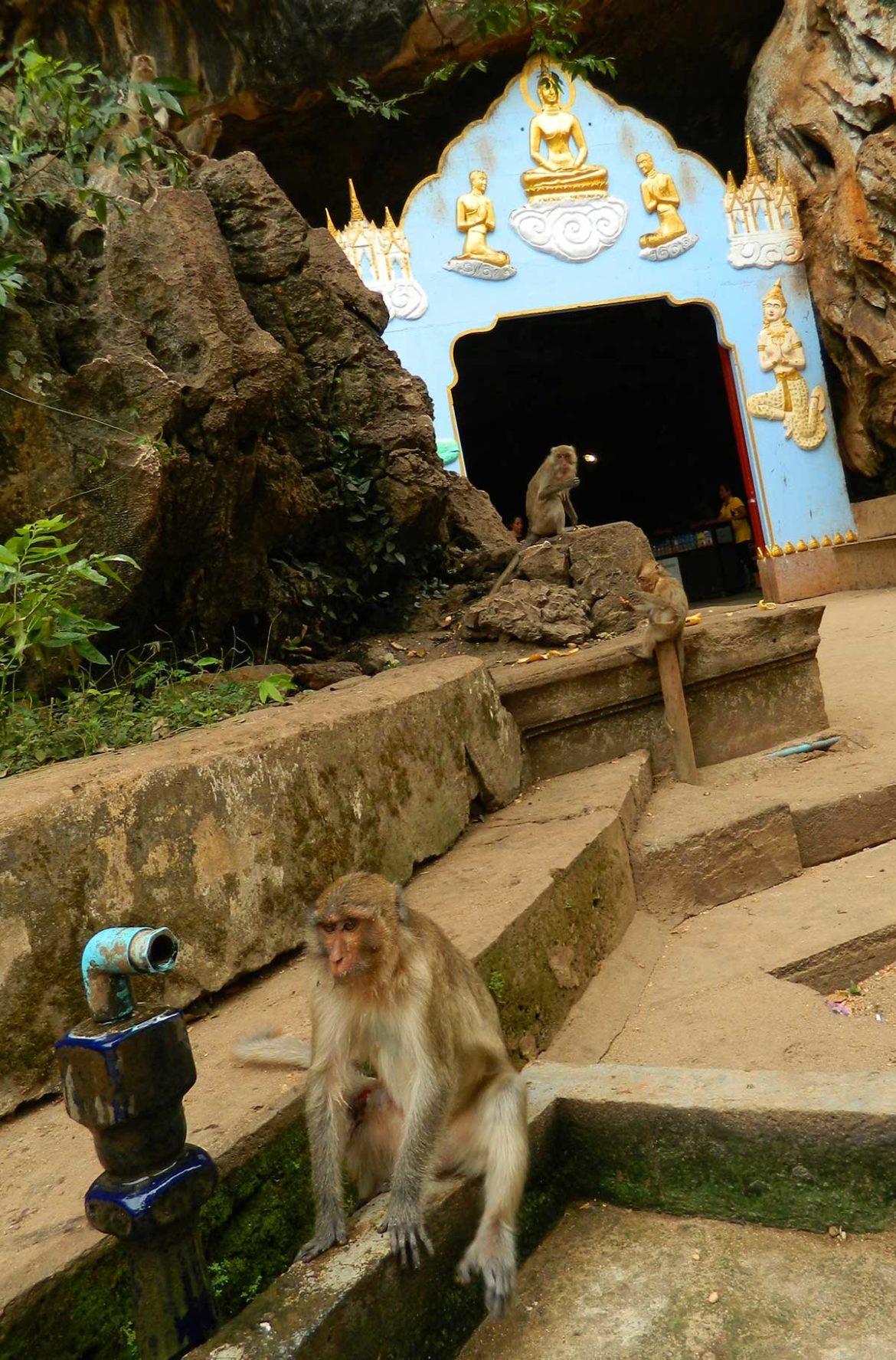 Macacos na entrada do templo Wat Suwan Khuha, em Phang Nga