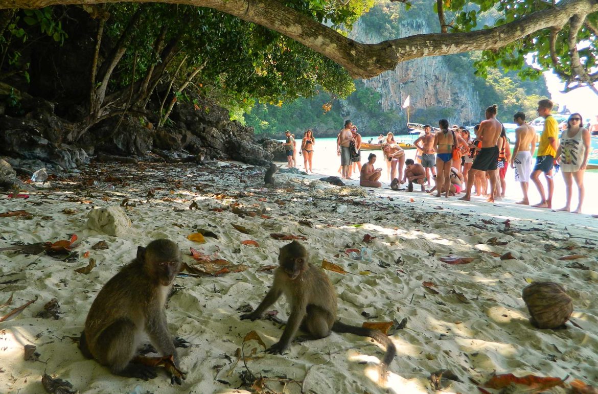 Monkey Beach, no Arquipélago de Koh Phi Phi