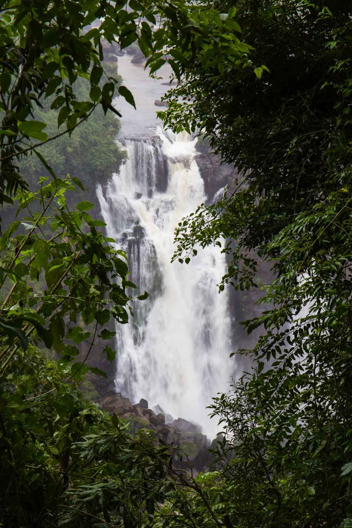 Fotos de Foz do Iguaçu - Cataratas do Iguaçu (lado brasileiro)