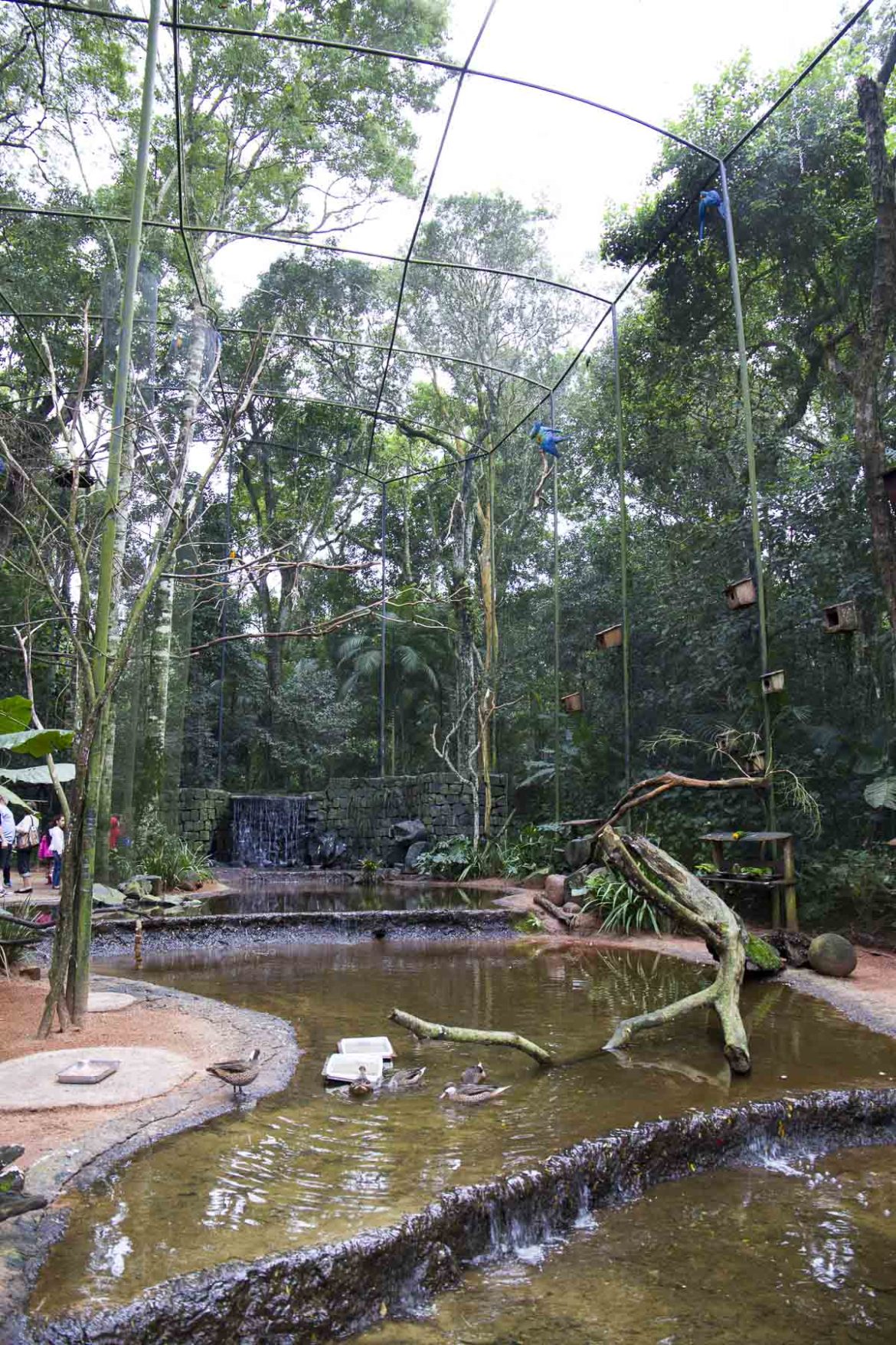 Fotos de Foz do Iguaçu - Parque das Aves