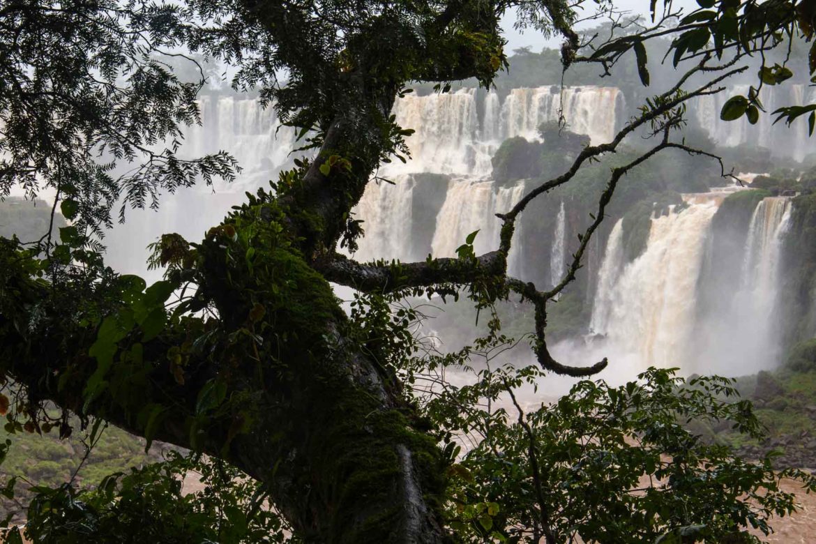 Fotos de Foz do Iguaçu - Cataratas do Iguaçu (lado argentino)