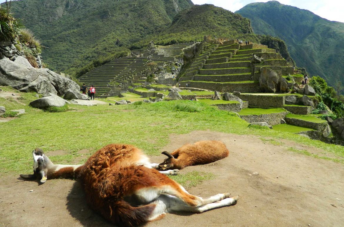 Fotos do Peru - Sítio arqueológico de Machu Picchu